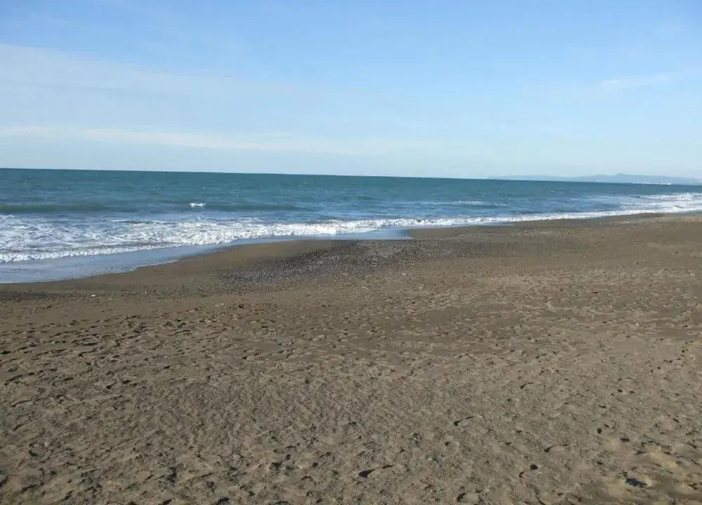 Cozy Apartment Near Bolgheri