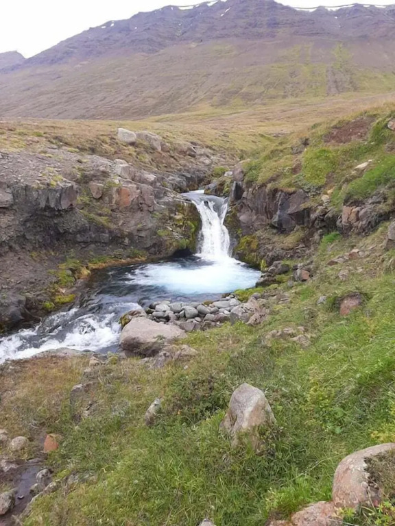 Brúnir