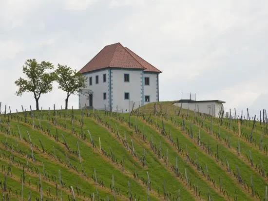 Wine Growers Mansion Zlati Gric