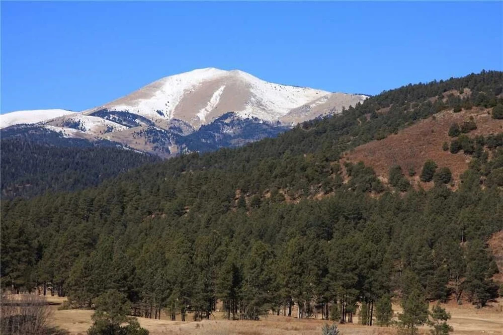 Ruidoso Rabb