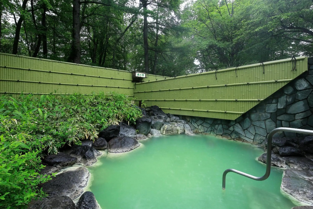 Nikko Astraea Hotel