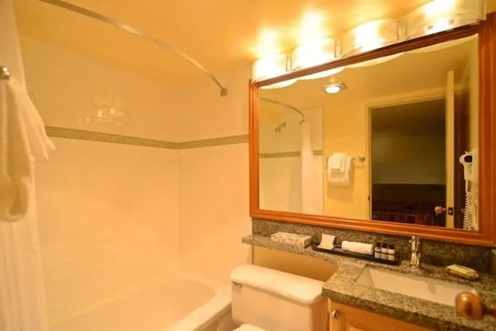 Mountain Side Hotel Whistler by Executive