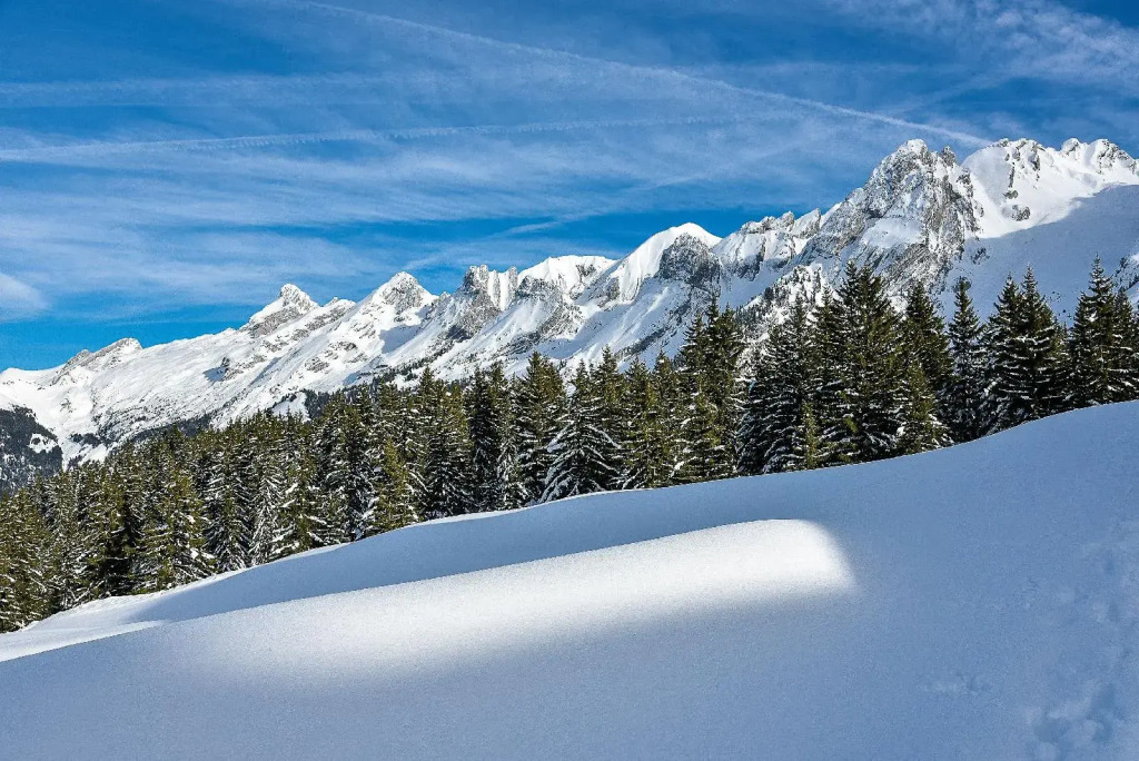 Hotel Alpen Roc