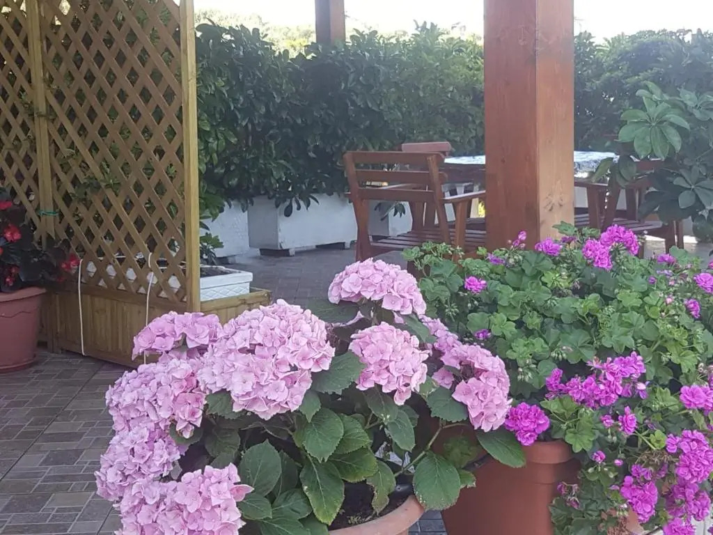 Zefiro Casa Vacanze