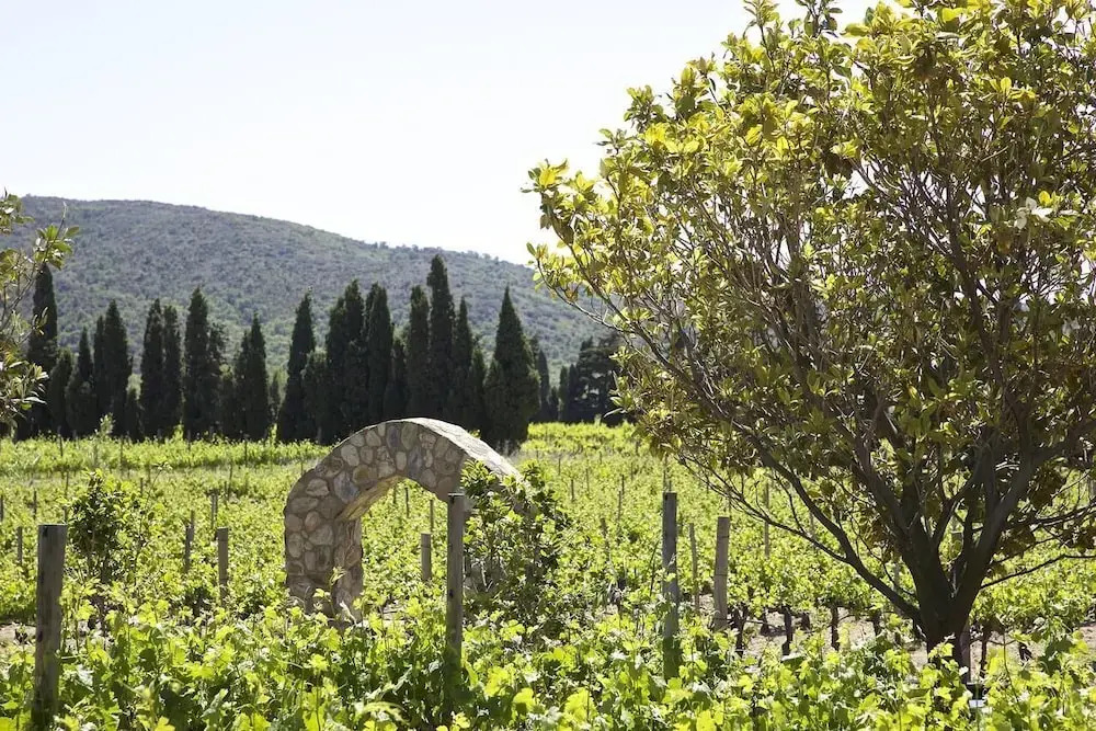 El Recer de Masia Serra - Adults Only
