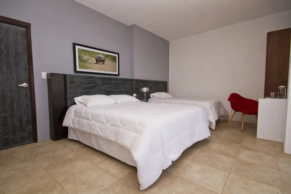 Hotel Volcano