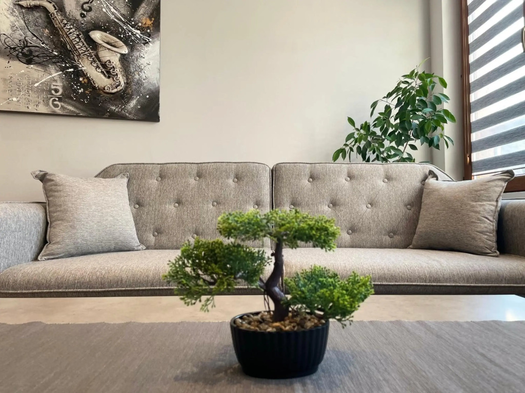Shushi's Central Studio Apartment