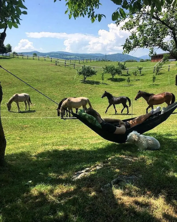 Ranch Terra