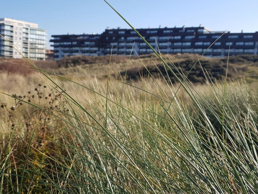 Cosy Apartment in Oostduinkerke