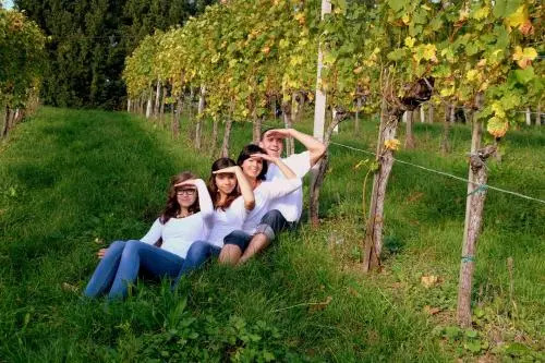 Weingut und Gästezimmer Perner