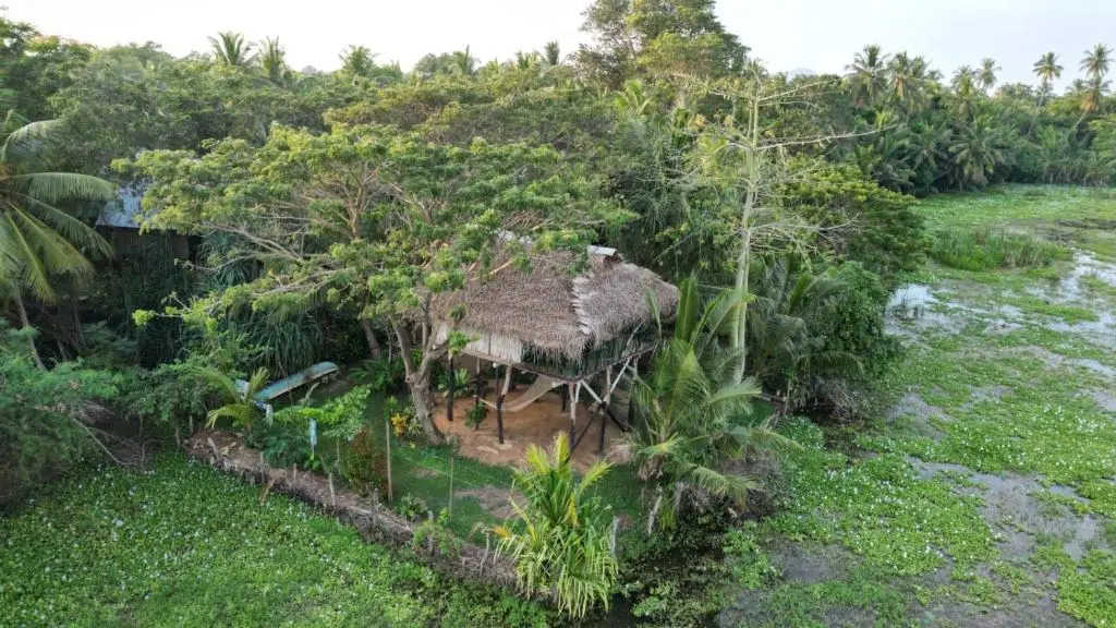 Lake Face INN