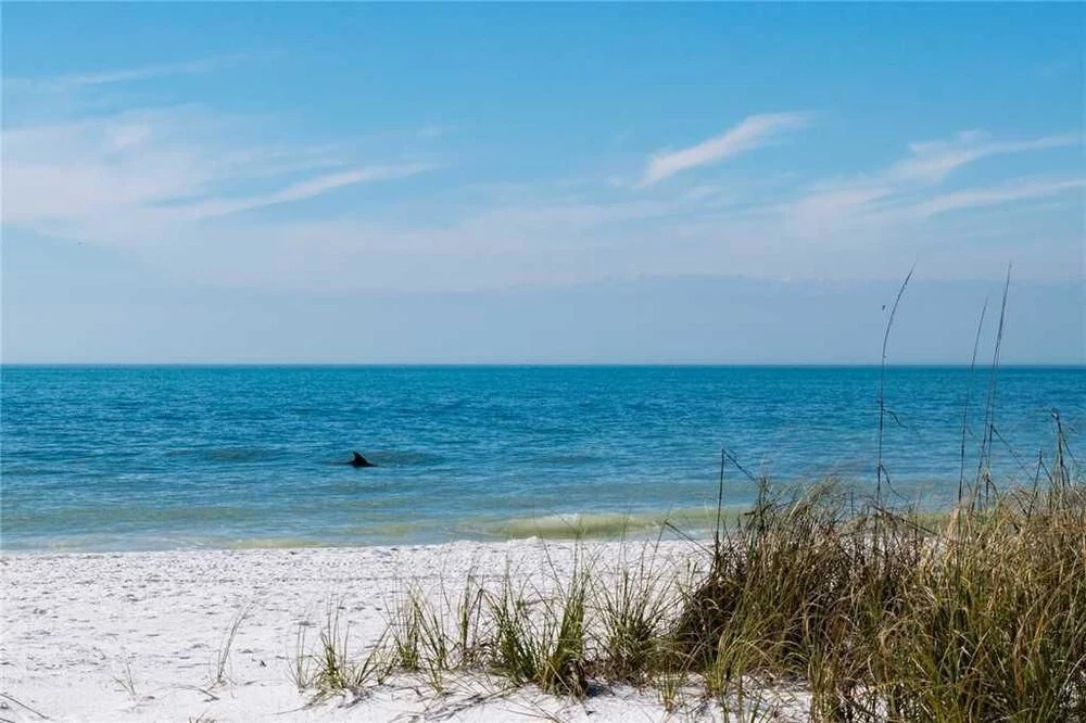 Anna Maria Escape by RedAwning