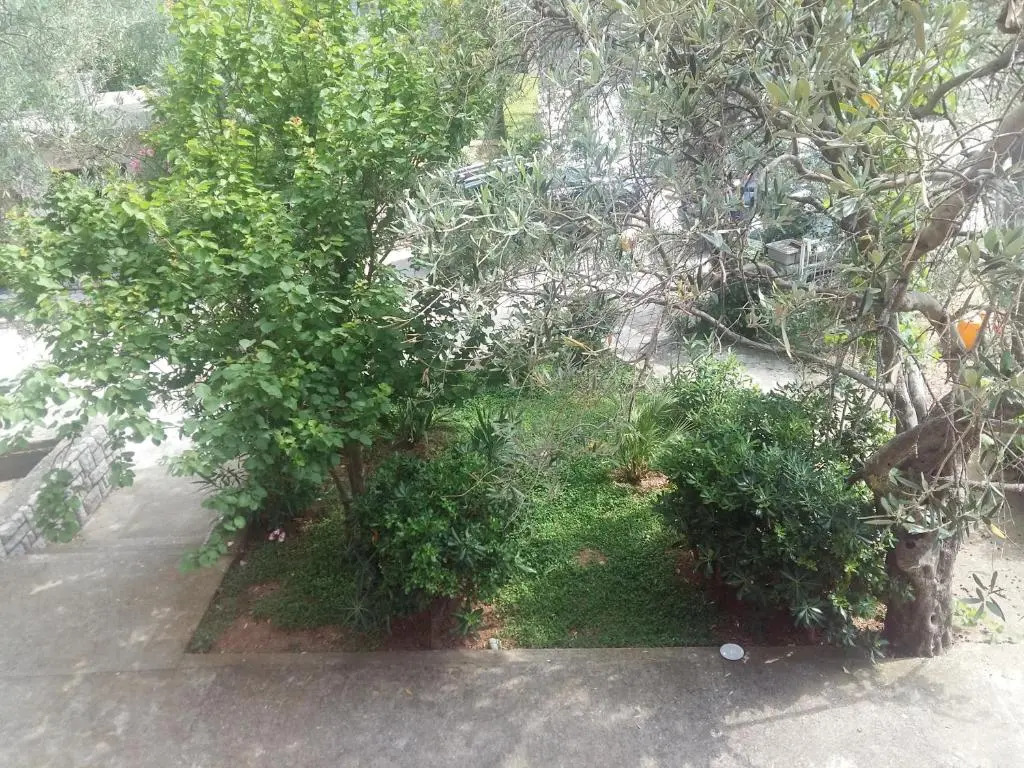 Lazar Apartments