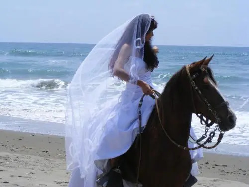 Equus Erro Hosteria