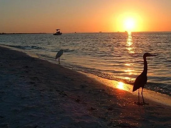 Gulfview Manor Resort