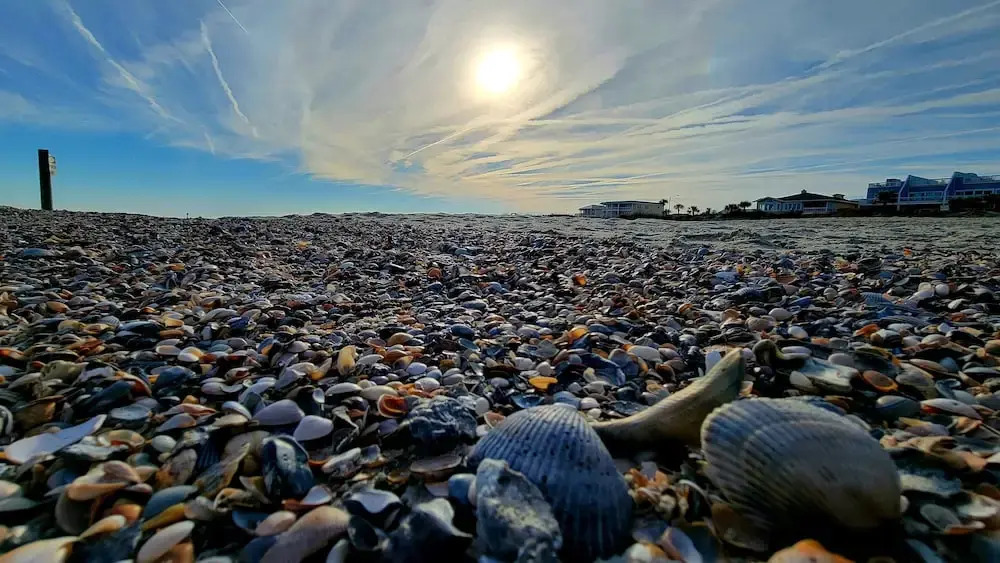 Silver Shores Condominiums by Tybee Vacation Rentals