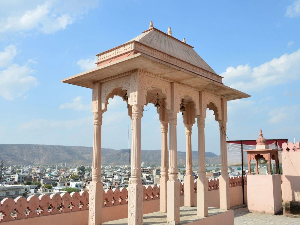 OYO 8515 Ashok Palace