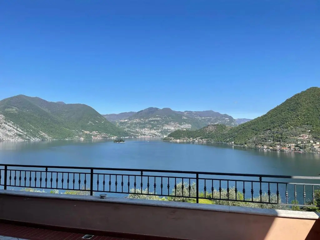 Lake Iseo - Gli ulivi 1