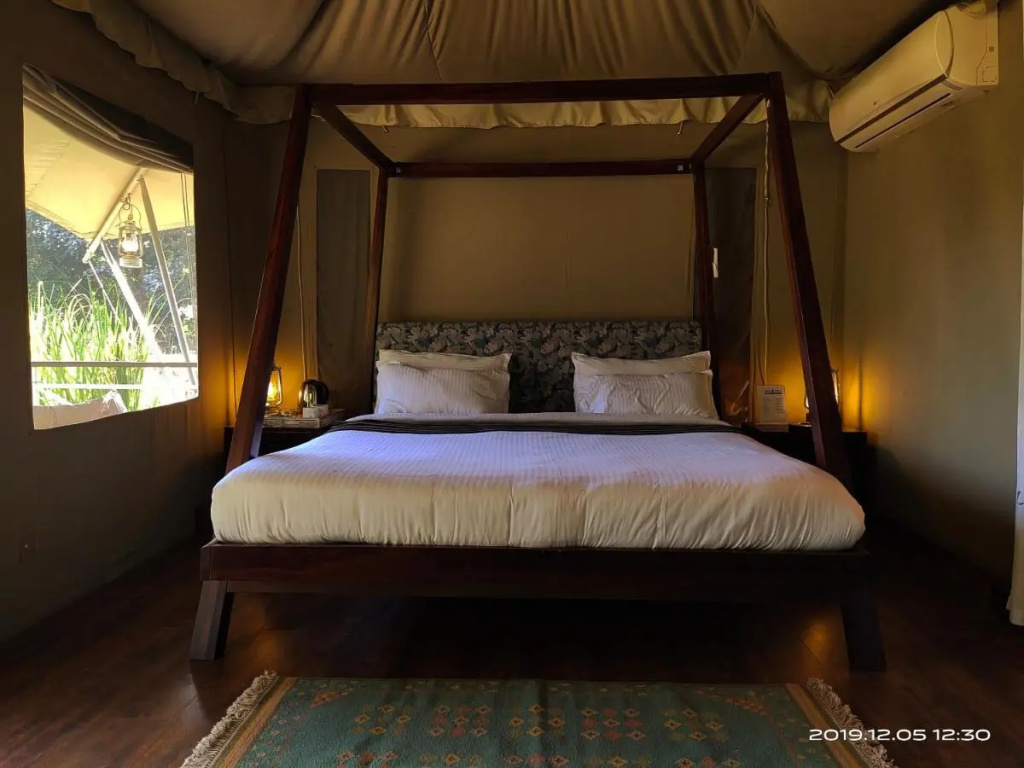 Bagh Tola, Bandhavgarh Tiger Reserve
