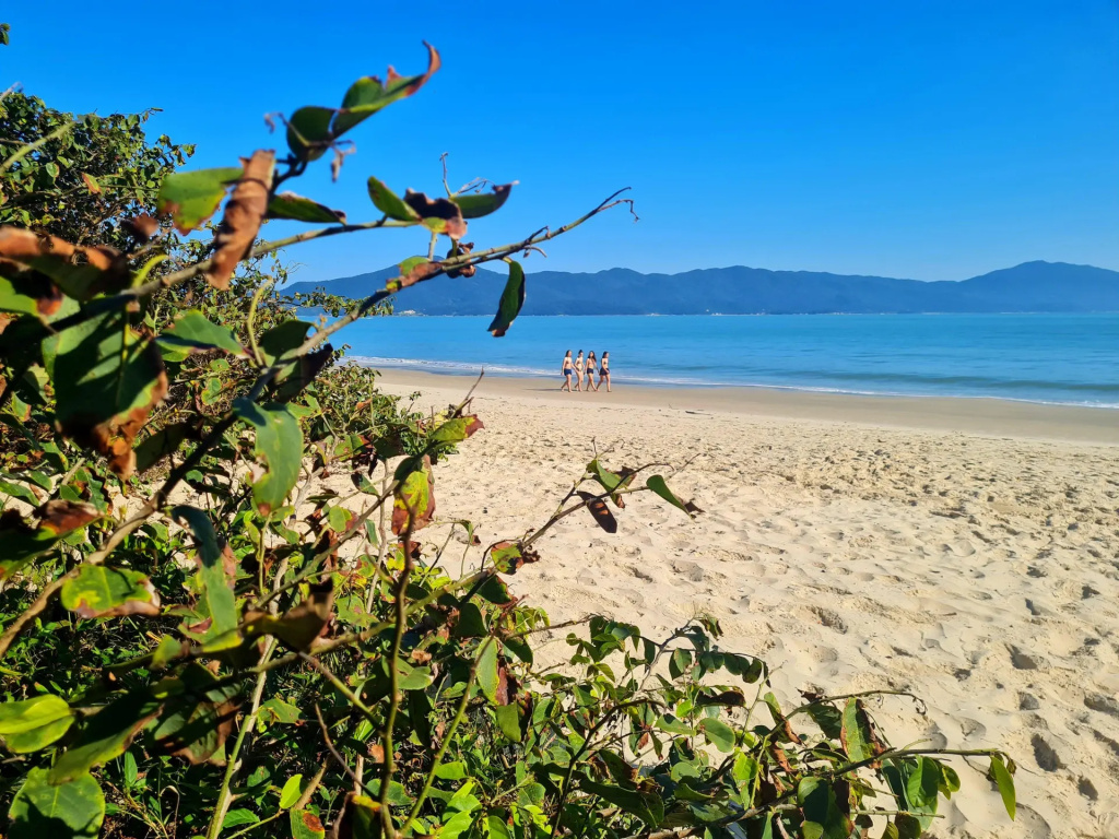 Belle Arti Pousada