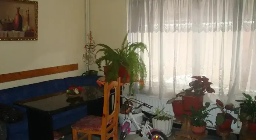 Hotel Detelina