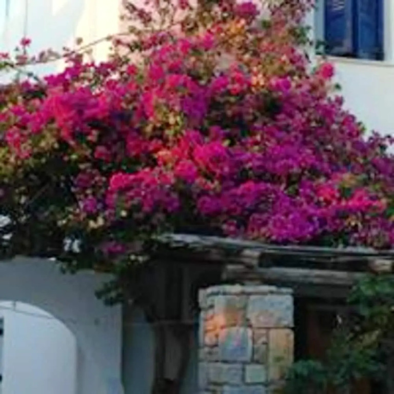 Studio in Aliki, With Wonderful sea View, Furnished Terrace and Wifi