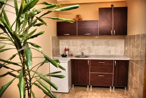 Apartment Milković