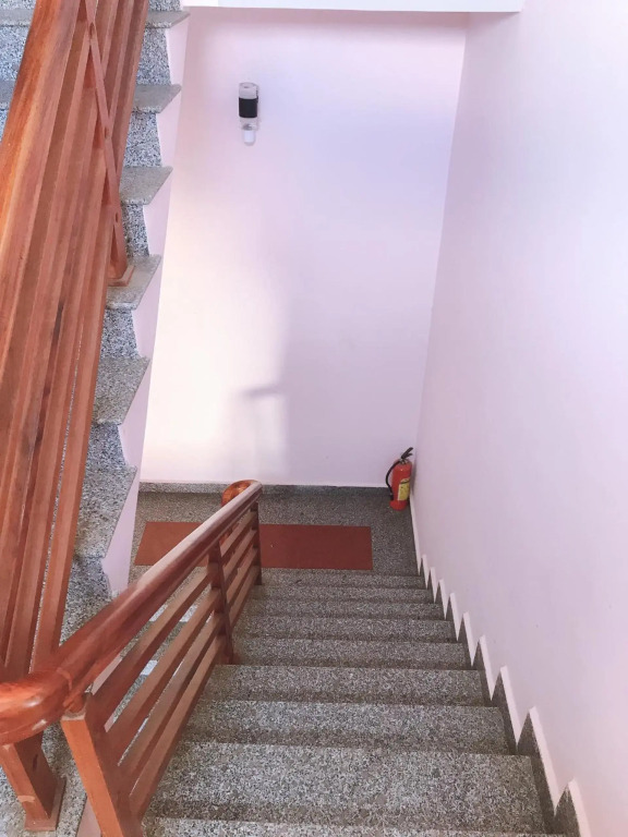 Nấm Home