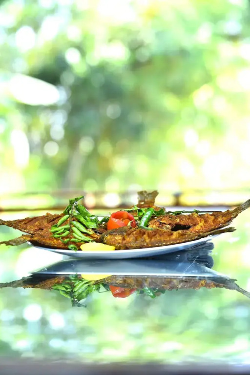 Best Kerala Houseboat