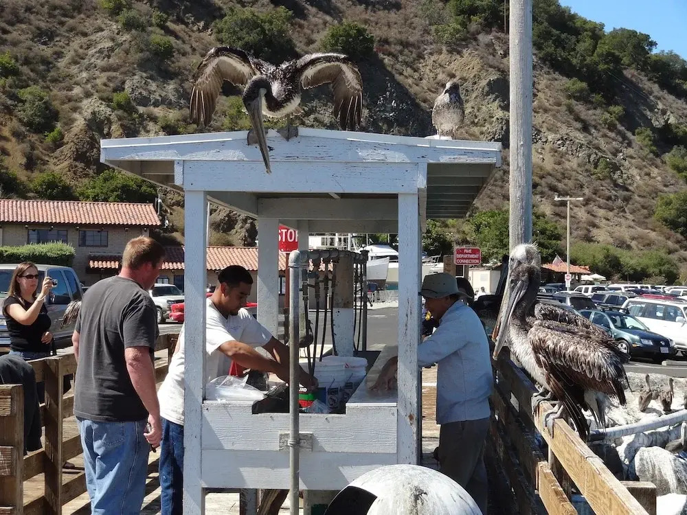 Avila Beach Retreat