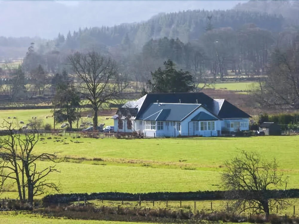 Crann Teile (Lime Tree)