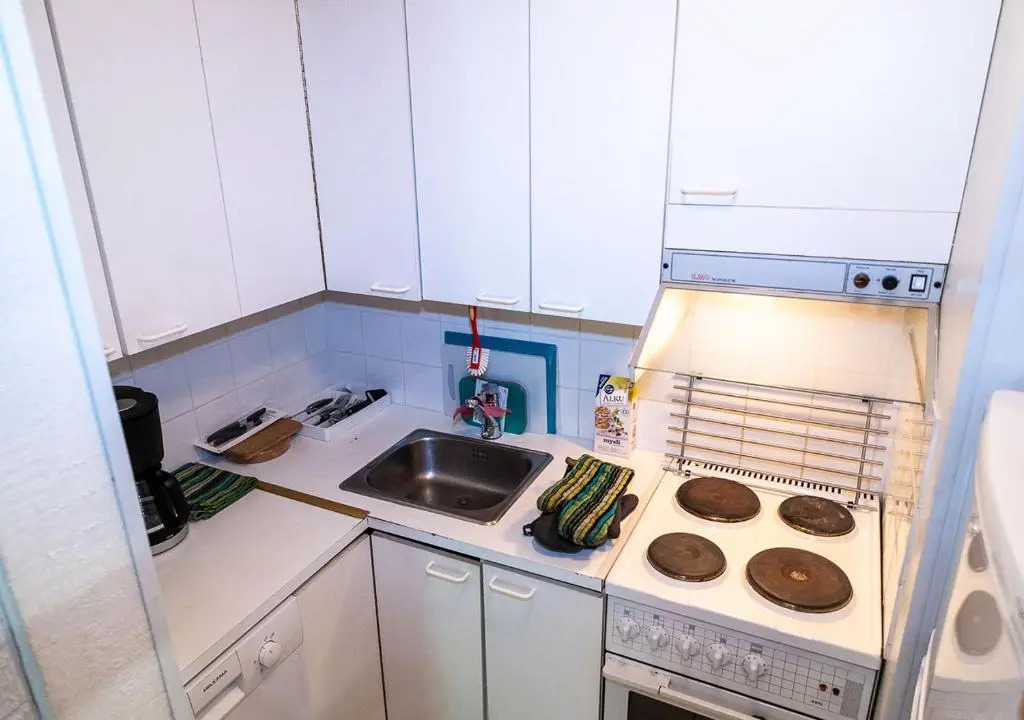 Tervakosken Tervaniemi hirsimökki & oma sauna