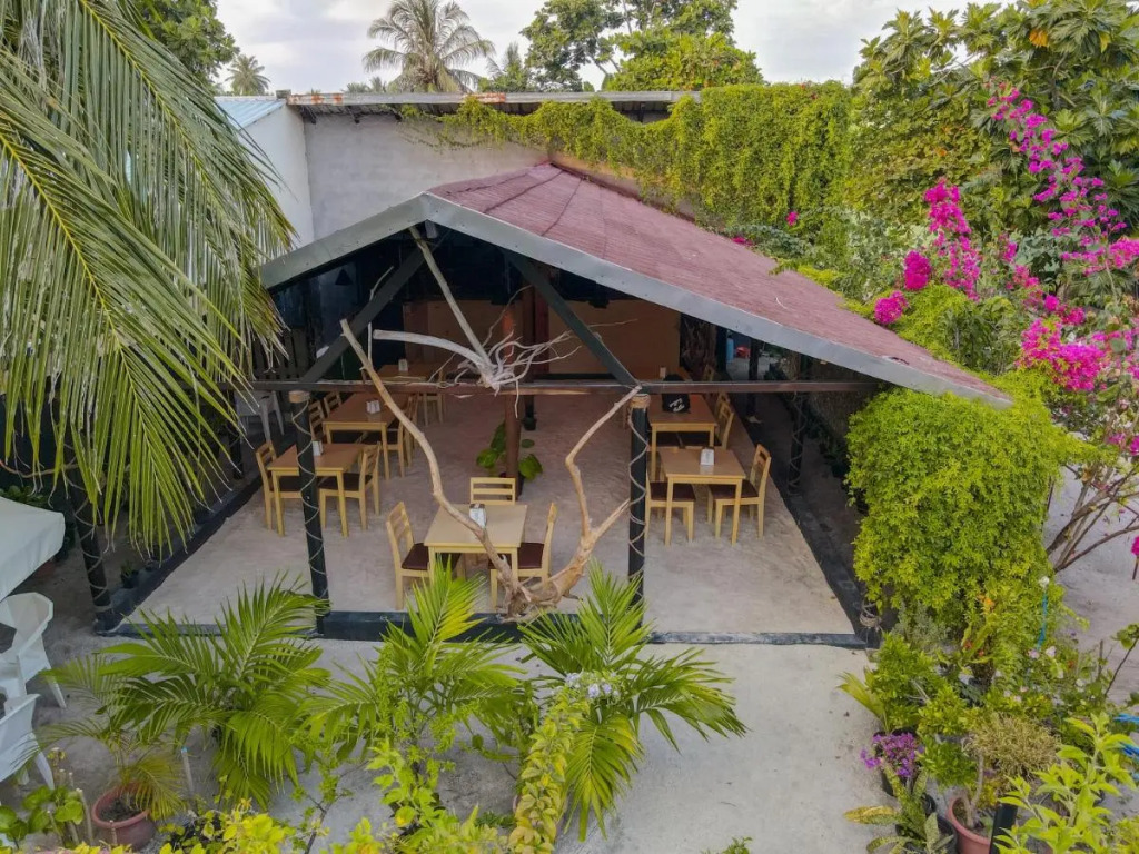Turtle Maldives - Your Gateway to the Beach & Marine Adventures Await