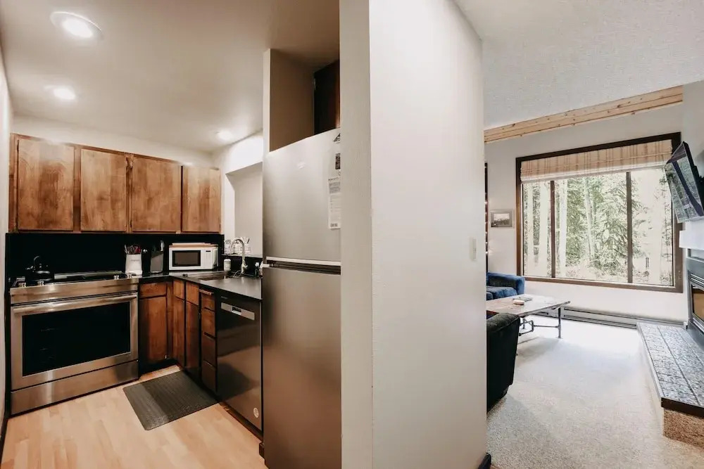 Condo - Pets OK - Fireplace, Sleeps 4!