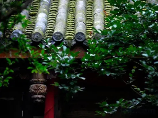 Qingcheng Houshan Landscape Heyuan Homestay