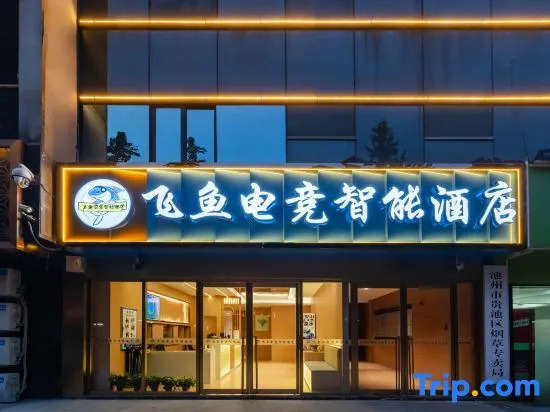 Chizhou Feiyu E-sports Smart Hotel