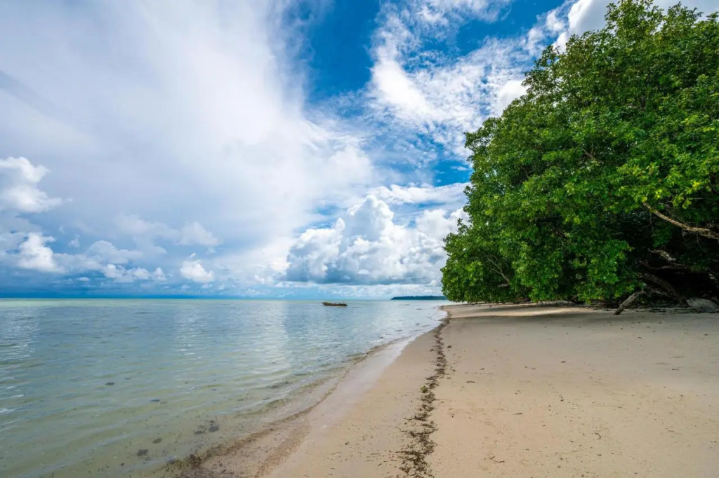 Green Wood Beach Resort