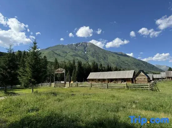 Tongmu Yiyu Shanjian B&B