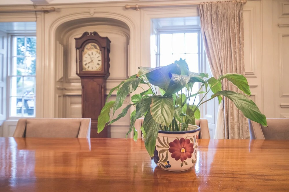 Llwyngwair Manor, Newport, PEMBROKESHIRE