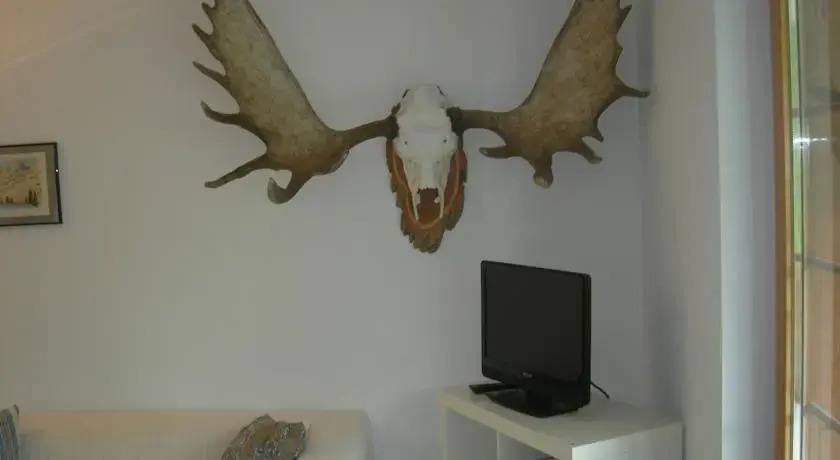 Chesigna 3