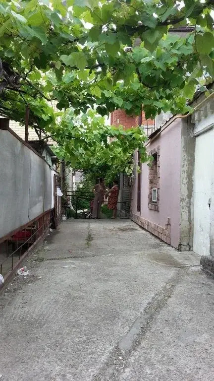 Vinogradnaya Loza Guest House