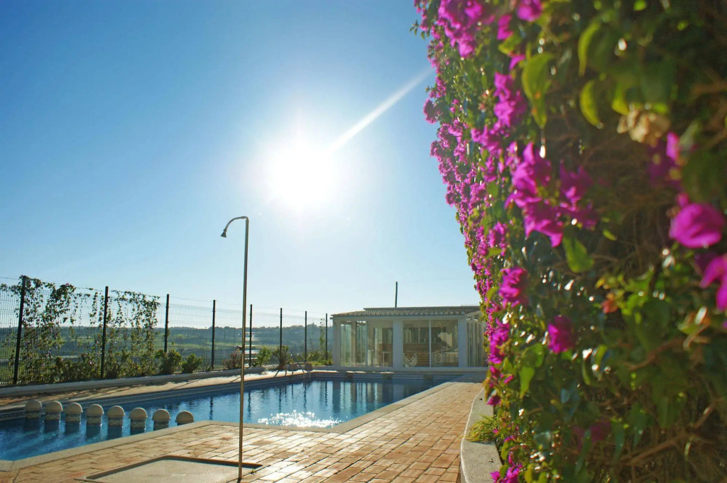 Sol Nascente