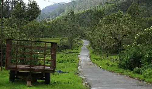 Vagamon Paradise
