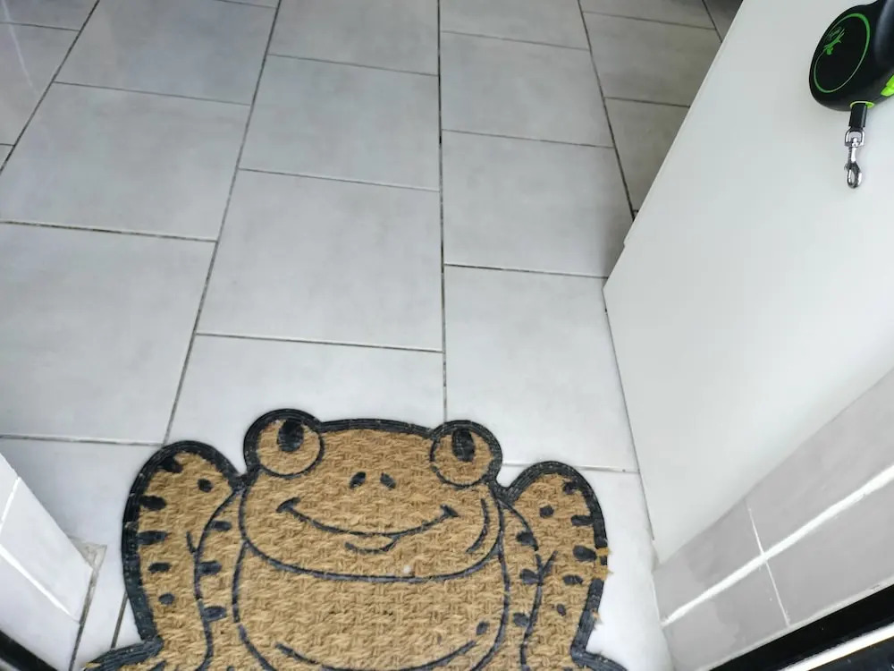 One Bedroom Apartment Achill Island Pets Allowed