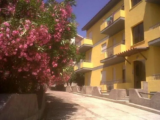 Girasole Sul mare