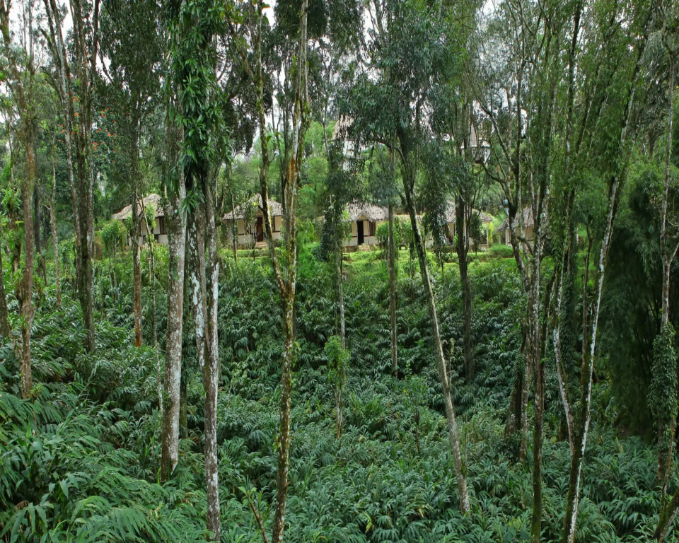 Carmelia Haven Resort Thekkady