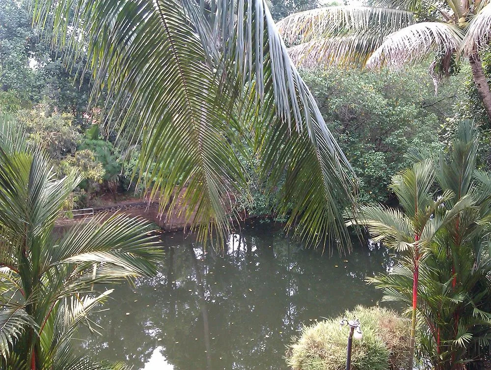 Backwater Retreat - Honeymoon House