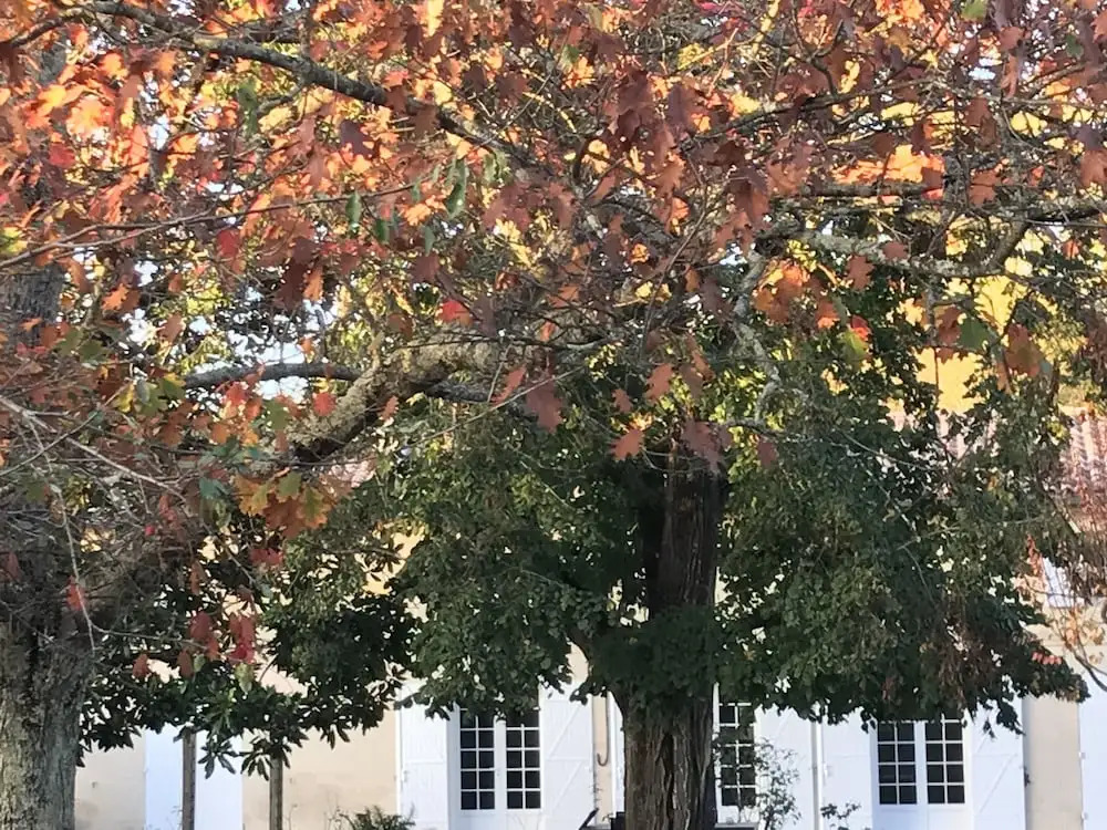 Chambres Du Bocage