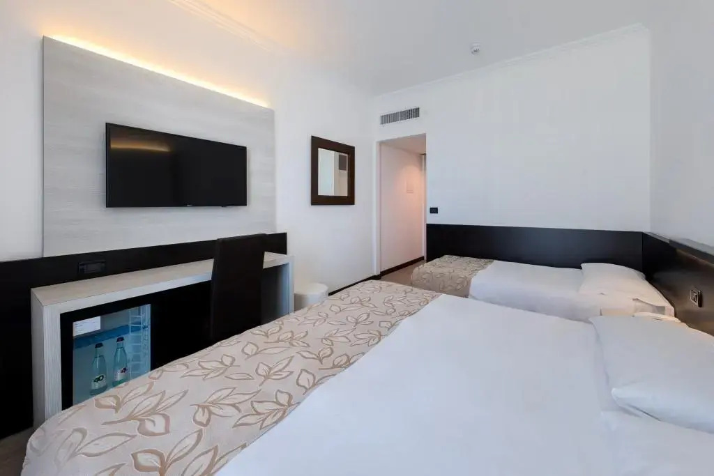 Hotel Ambasciatori  Delfino