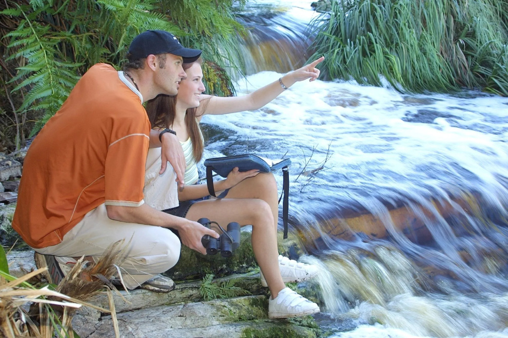 The Fernery Lodge & Spa